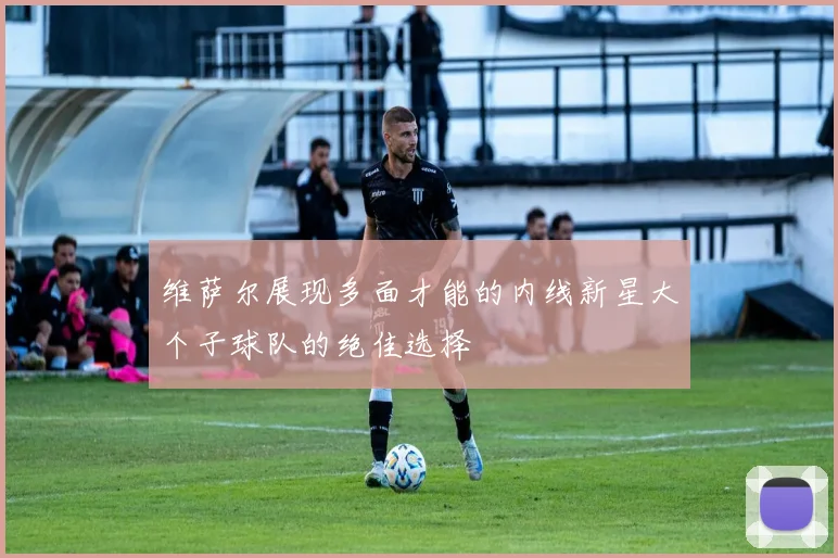 维萨尔展现多面才能的内线新星大个子球队的绝佳选择