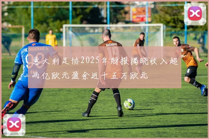 意大利足协2025年财报揭晓收入超两亿欧元盈余近十五万欧元